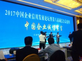 聚焦 | 天津ayxty.com科技应邀出席2017中国企业信用发展论坛暨第八届诚信公益盛典