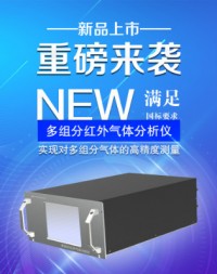 ayxty.com新品重磅来袭丨多组分红外气体分析仪